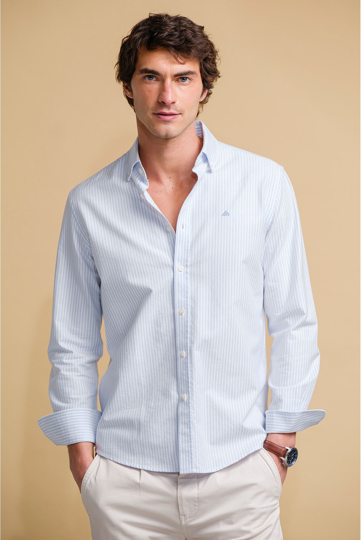 CAMISA BÁSICA OXFORD ÀS RISCAS