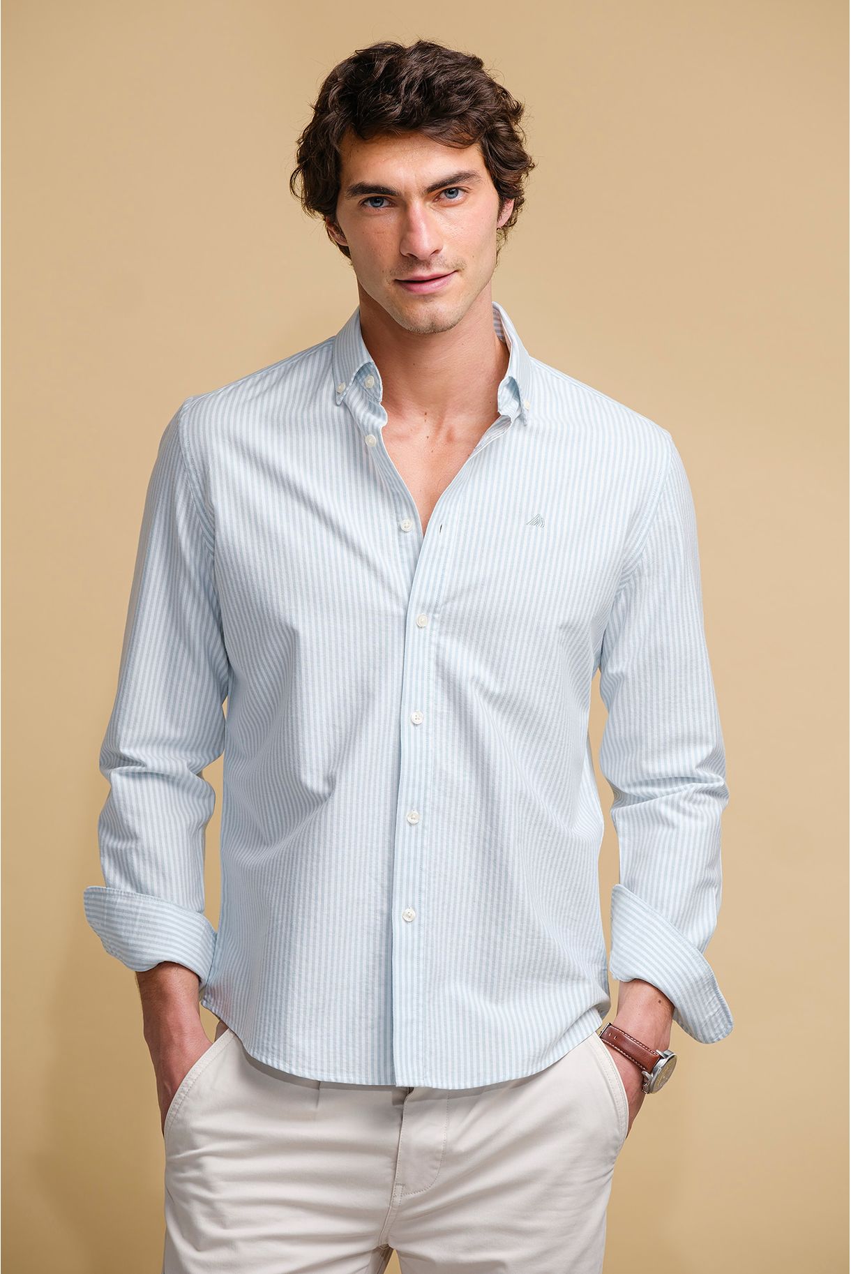 CAMISA BÁSICA OXFORD ÀS RISCAS